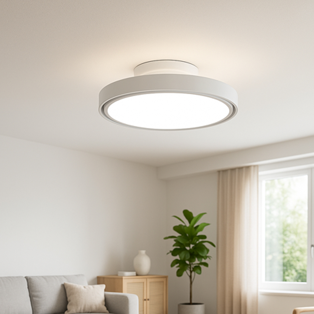 W 에어룩스 윙리스 BLDC 실링팬